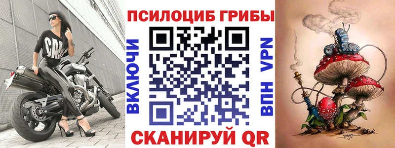 Псилоцибиновые грибы Psilocybe  закладки  Новоалександровск 